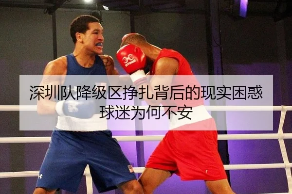 深圳队降级区挣扎背后的现实困惑 球迷为何不安